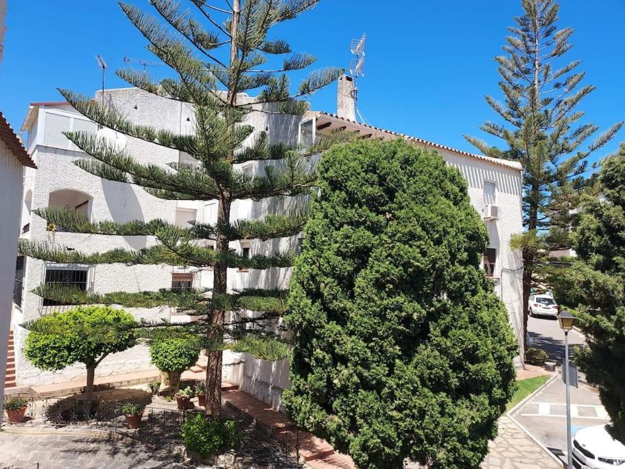 Apartamento A 150 Metros De La Playa Y Del Puerto Deportivo エステポナ エクステリア 写真