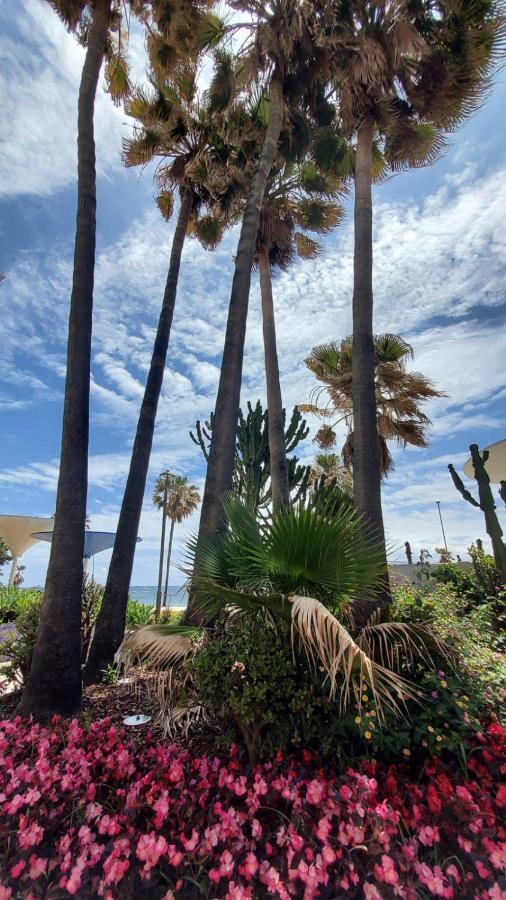 Apartamento A 150 Metros De La Playa Y Del Puerto Deportivo エステポナ エクステリア 写真
