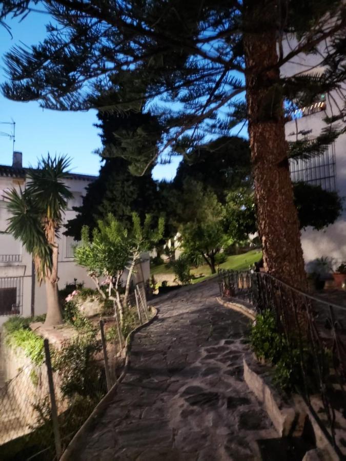 Apartamento A 150 Metros De La Playa Y Del Puerto Deportivo エステポナ エクステリア 写真