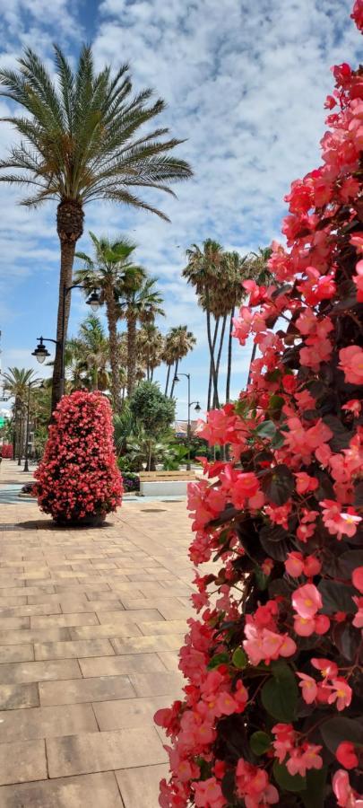 Apartamento A 150 Metros De La Playa Y Del Puerto Deportivo エステポナ エクステリア 写真